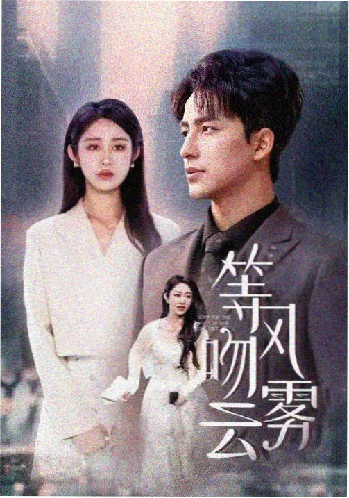 漫长的季节全集在线看