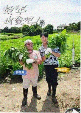 我在岛屿读书综艺在线观看